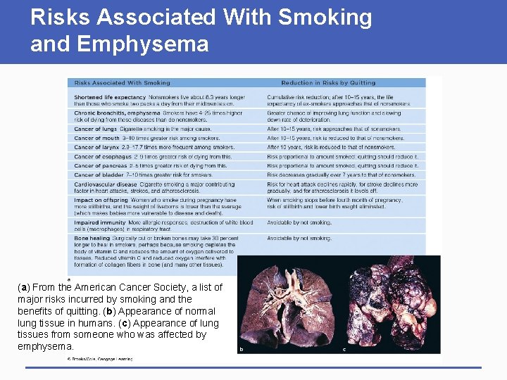 Risks Associated With Smoking and Emphysema (a) From the American Cancer Society, a list