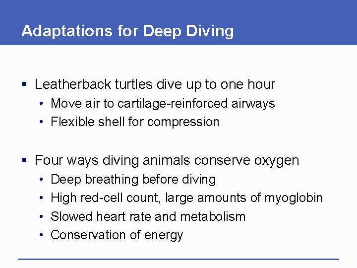 Adaptations for Deep Diving § Leatherback turtles dive up to one hour • Move