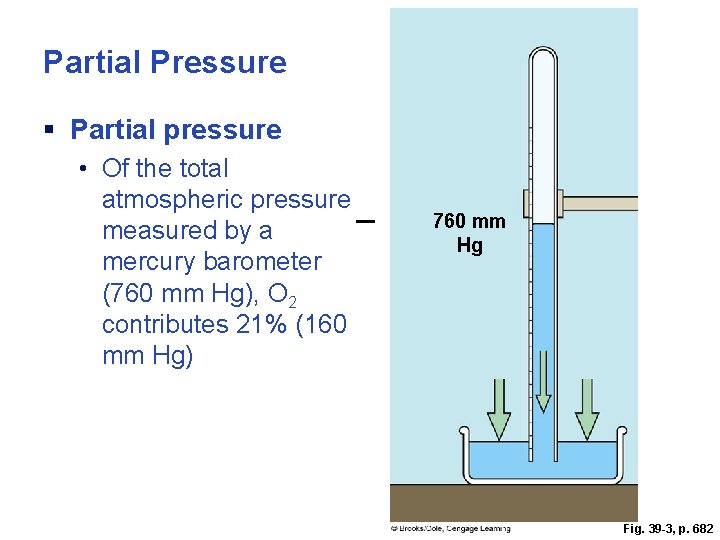 Partial Pressure § Partial pressure • Of the total atmospheric pressure measured by a