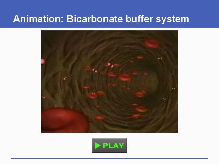 Animation: Bicarbonate buffer system 