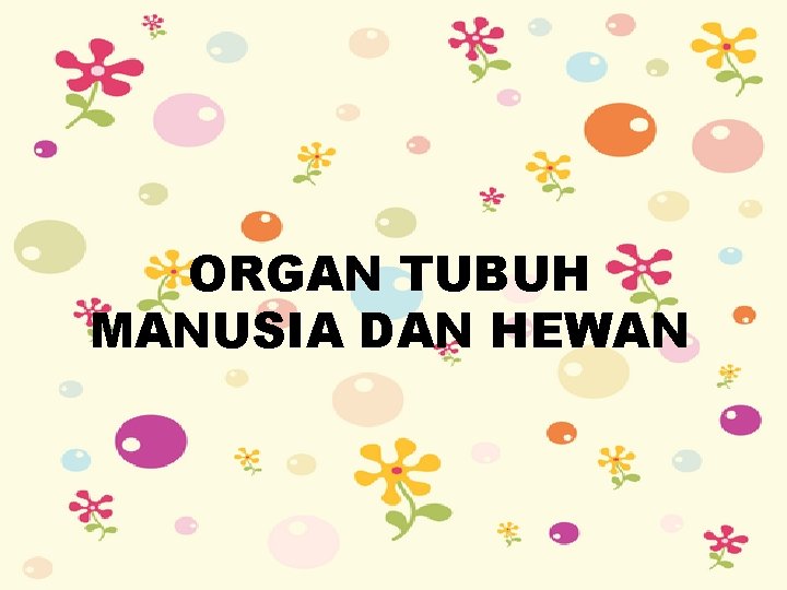 ORGAN TUBUH MANUSIA DAN HEWAN 