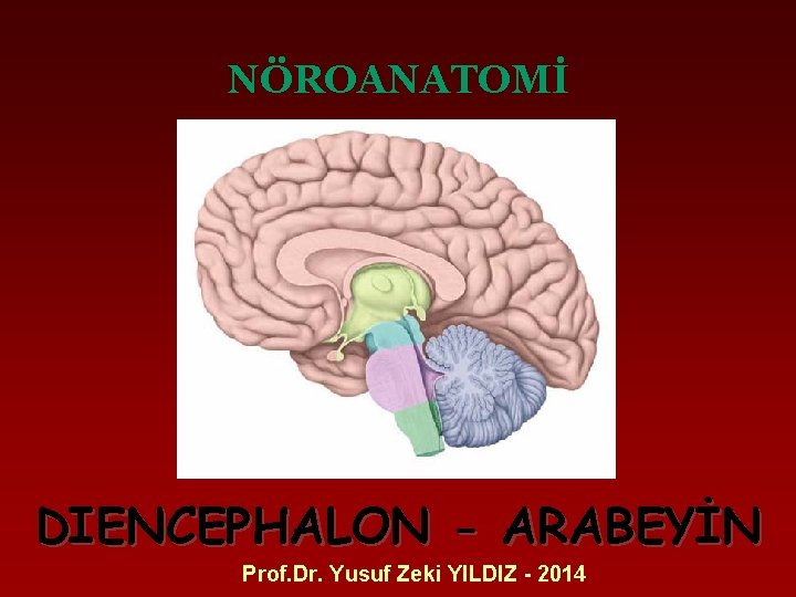 NÖROANATOMİ DIENCEPHALON - ARABEYİN Prof. Dr. Yusuf Zeki YILDIZ - 2014 