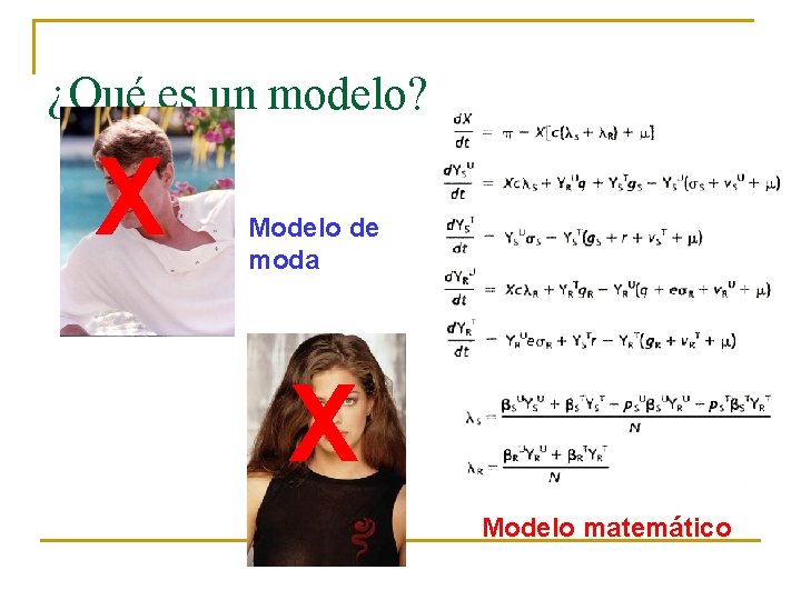 ¿Qué es un modelo? X Modelo de moda X Modelo matemático 