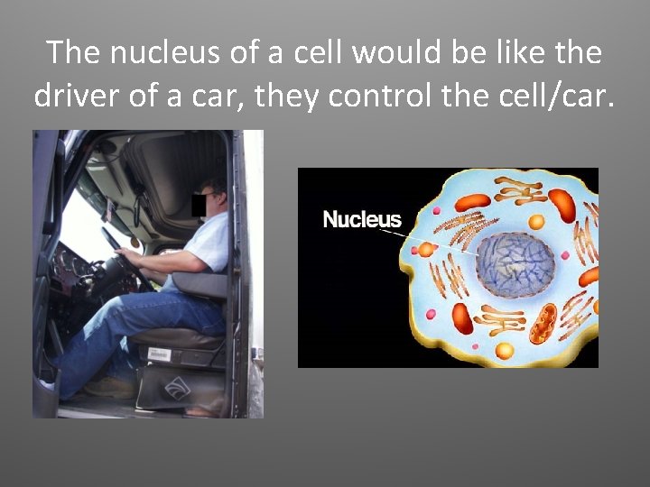 The nucleus of a cell would be like the driver of a car, they