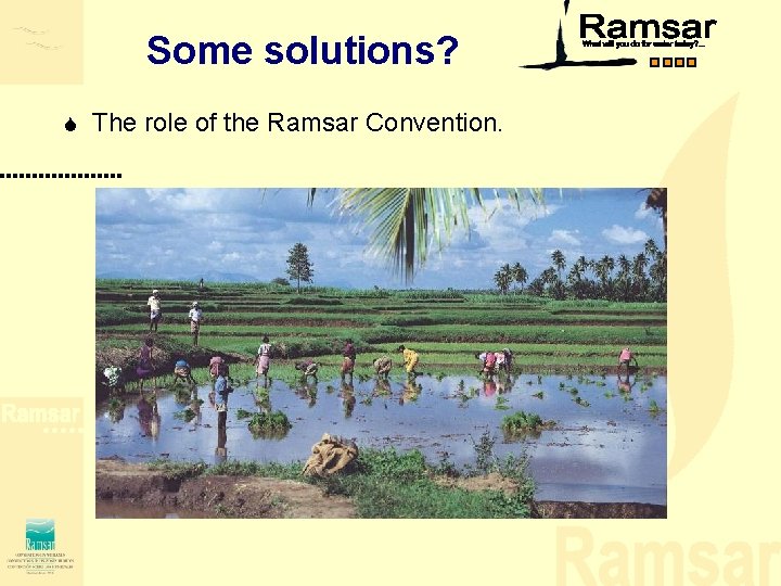 Some solutions? S The role of the Ramsar Convention. Some solutions? S The role of the Ramsar Convention.