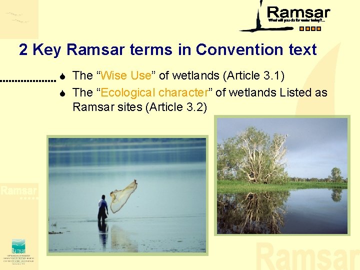 2 Key Ramsar terms in Convention text The “Wise Use” of wetlands (Article 3. 2 Key Ramsar terms in Convention text The “Wise Use” of wetlands (Article 3.