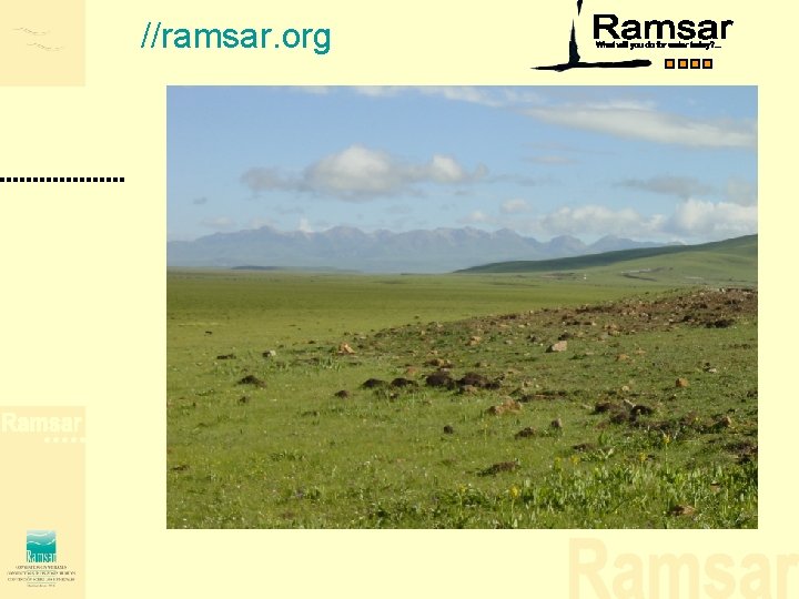 //ramsar. org //ramsar. org