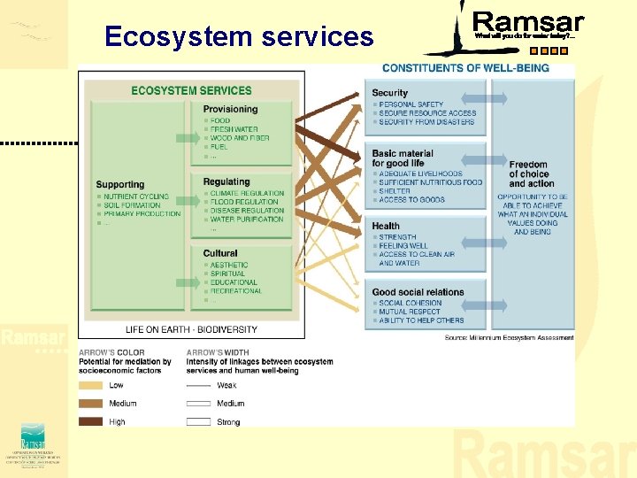 Ecosystem services Ecosystem services