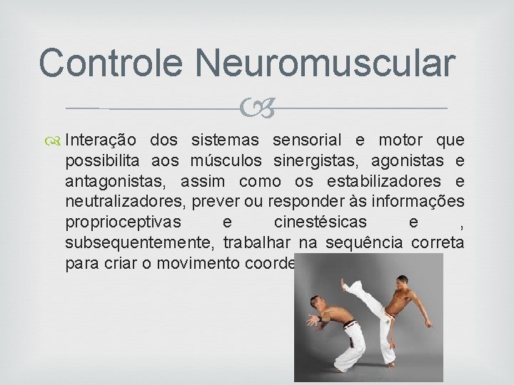 Controle Neuromuscular Interação dos sistemas sensorial e motor que possibilita aos músculos sinergistas, agonistas