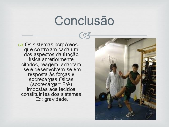 Conclusão Os sistemas corpóreos que controlam cada um dos aspectos da função física anteriormente