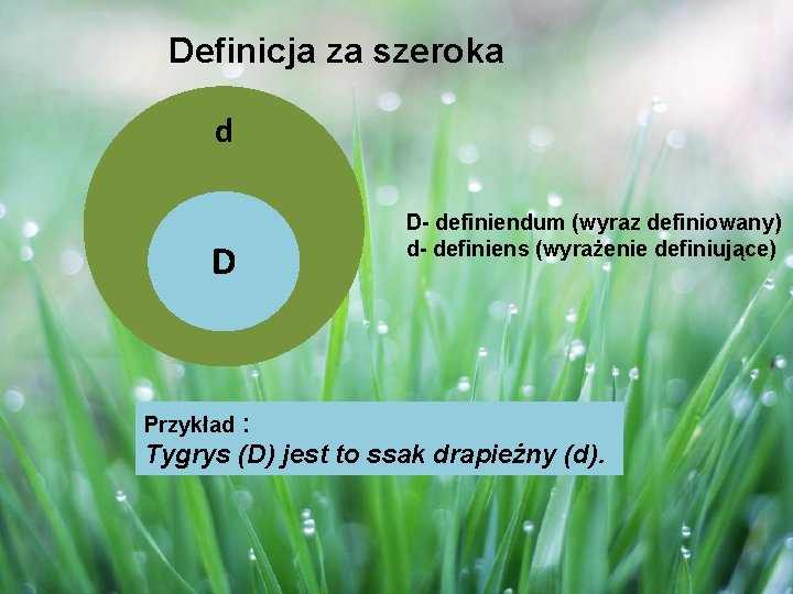 Definicja za szeroka d D D- definiendum (wyraz definiowany) d- definiens (wyrażenie definiujące) :