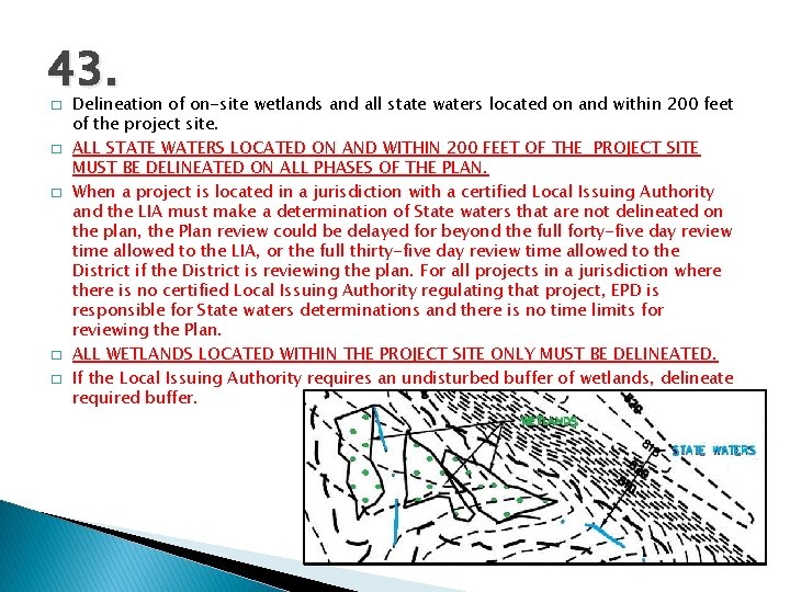 43. � � � Delineation of on-site wetlands and all state waters located on