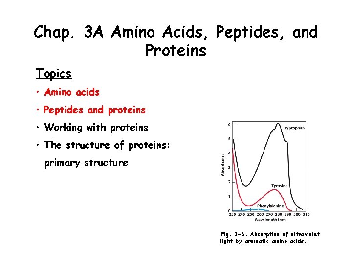 Chap. 3 A Amino Acids, Peptides, and Proteins Topics • Amino acids • Peptides