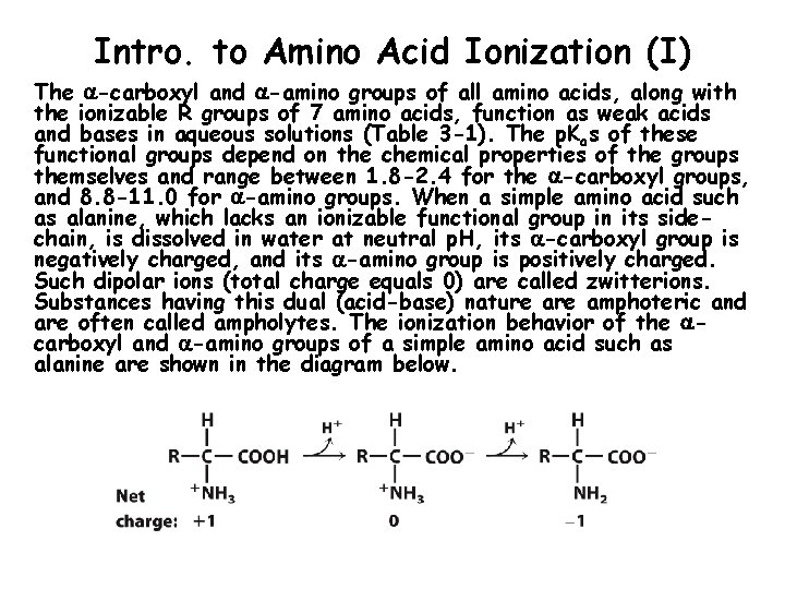 Intro. to Amino Acid Ionization (I) The -carboxyl and -amino groups of all amino