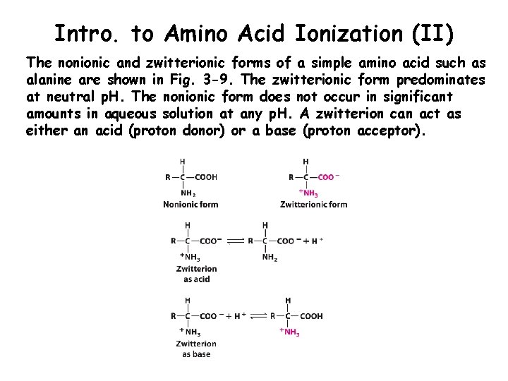 Intro. to Amino Acid Ionization (II) The nonionic and zwitterionic forms of a simple