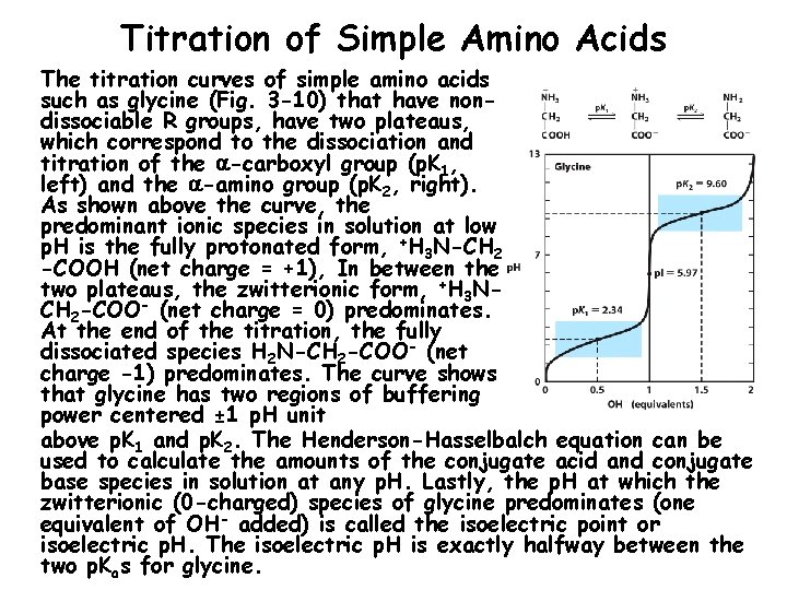 Titration of Simple Amino Acids The titration curves of simple amino acids such as