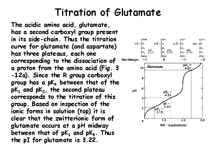 Titration of Glutamate The acidic amino acid, glutamate, has a second carboxyl group present