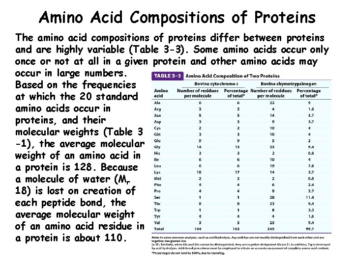 Amino Acid Compositions of Proteins The amino acid compositions of proteins differ between proteins