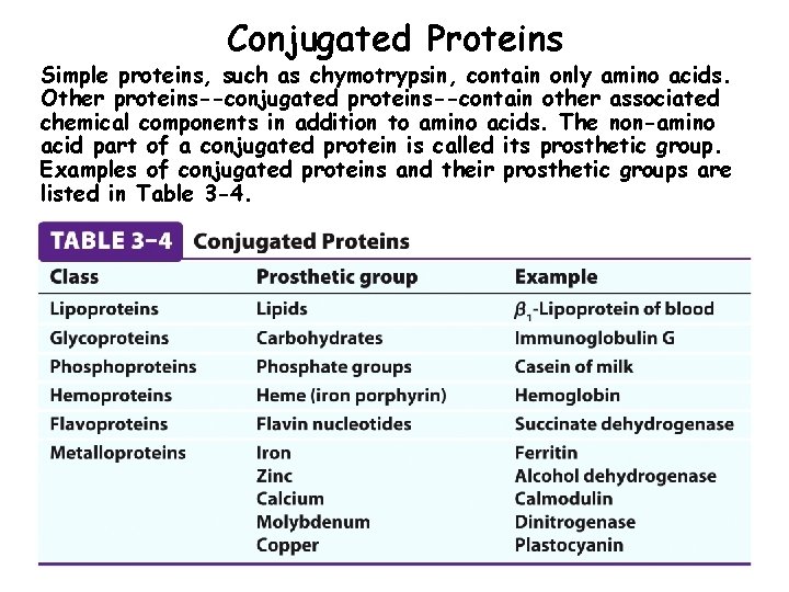 Conjugated Proteins Simple proteins, such as chymotrypsin, contain only amino acids. Other proteins--conjugated proteins--contain