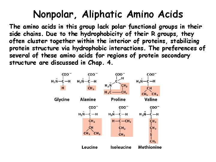 Nonpolar, Aliphatic Amino Acids The amino acids in this group lack polar functional groups