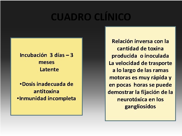 CUADRO CLÍNICO Incubación 3 días – 3 meses Latente • Dosis inadecuada de antitoxina