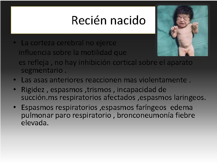 Recién nacido • La corteza cerebral no ejerce influencia sobre la motilidad que es