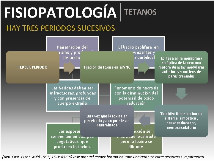 FISIOPATOLOGÍA TETANOS HAY TRES PERIODOS SUCESIVOS Penetración del organismo y producción de toxina TERCER