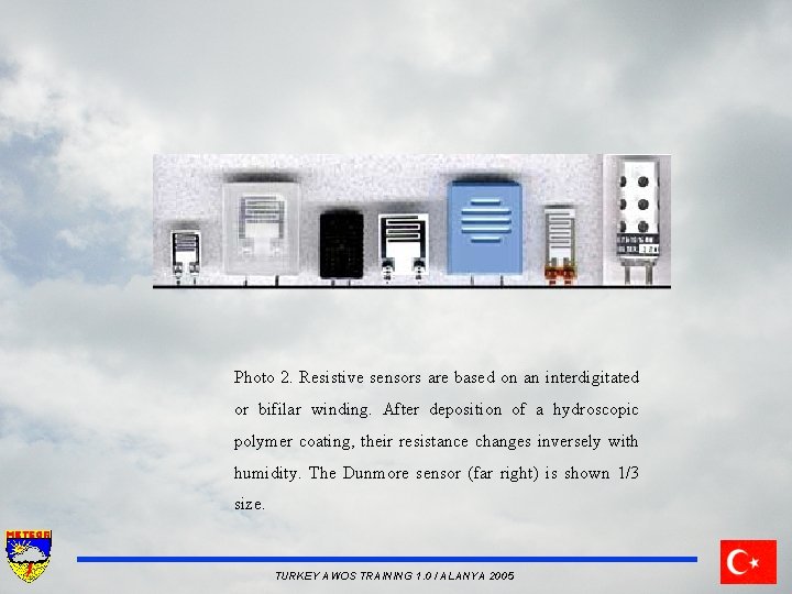 Photo 2. Resistive sensors are based on an interdigitated or bifilar winding. After deposition