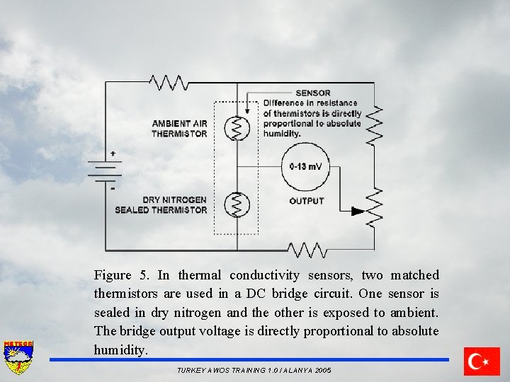 Figure 5. In thermal conductivity sensors, two matched thermistors are used in a DC