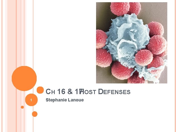 CH 16 & 17 HOST DEFENSES 1 Stephanie Lanoue 