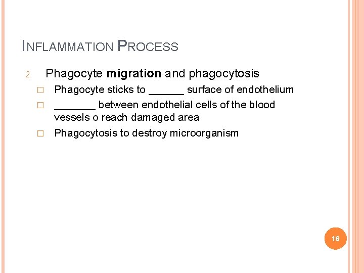 INFLAMMATION PROCESS Phagocyte migration and phagocytosis 2. Phagocyte sticks to ______ surface of endothelium