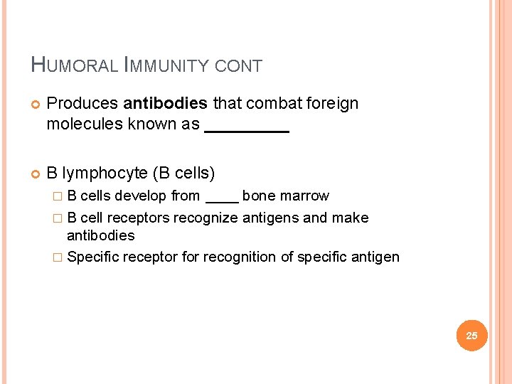 HUMORAL IMMUNITY CONT Produces antibodies that combat foreign molecules known as _____ B lymphocyte