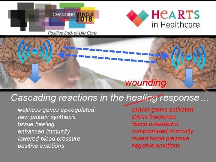 wounding Cascading reactions in the healing response… wellness genes up-regulated new protein synthesis tissue