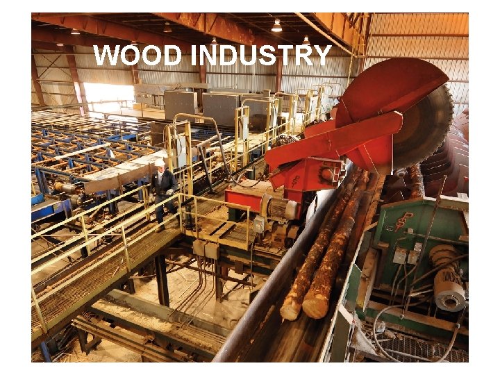 WOOD INDUSTRY 