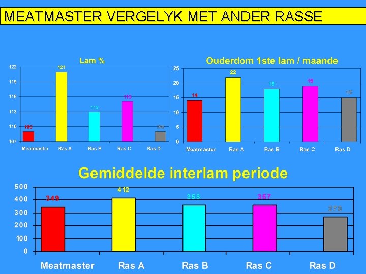 MEATMASTER VERGELYK MET ANDER RASSE 