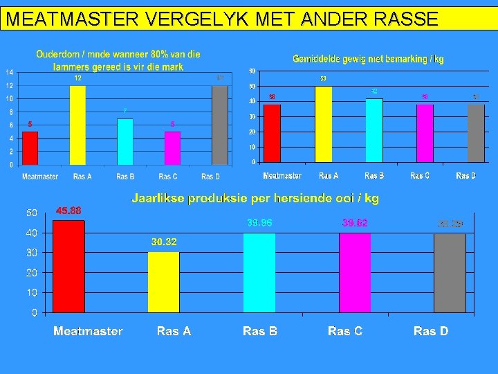 MEATMASTER VERGELYK MET ANDER RASSE 