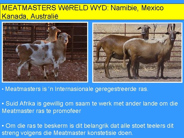 MEATMASTERS WêRELD WYD: Namibie, Mexico Kanada, Australië • Meatmasters is ‘n Internasionale geregestreerde ras.