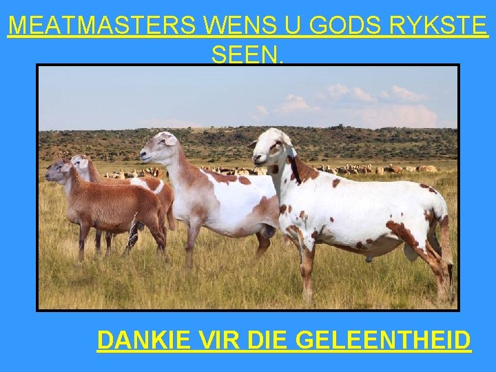 MEATMASTERS WENS U GODS RYKSTE SEEN. DANKIE VIR DIE GELEENTHEID 