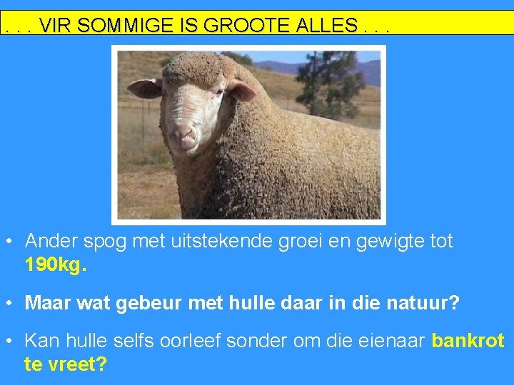 . . . VIR SOMMIGE IS GROOTE ALLES. . . • Ander spog met