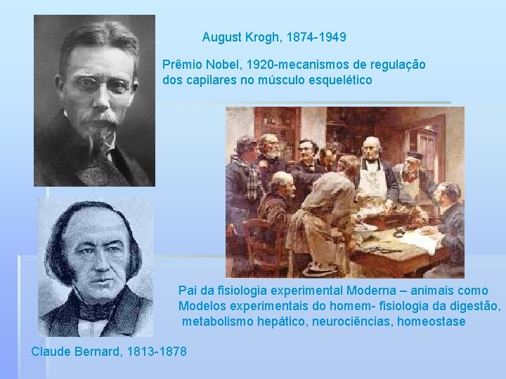 August Krogh, 1874 -1949 Prêmio Nobel, 1920 -mecanismos de regulação dos capilares no músculo