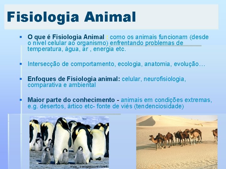 Fisiologia Animal § O que é Fisiologia Animal : como os animais funcionam desde