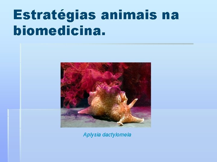 Estratégias animais na biomedicina. Aplysia dactylomela 