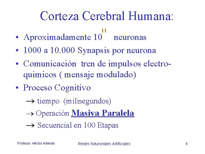 Corteza Cerebral Humana: 11 • Aproximadamente 10 neuronas • 1000 a 10. 000 Synapsis