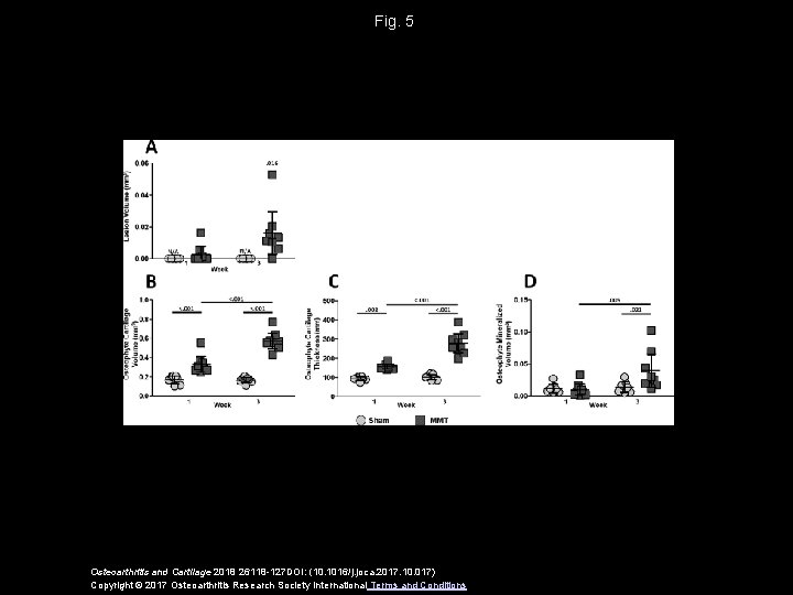 Fig. 5 Osteoarthritis and Cartilage 2018 26118 -127 DOI: (10. 1016/j. joca. 2017. 10.
