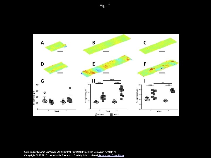 Fig. 7 Osteoarthritis and Cartilage 2018 26118 -127 DOI: (10. 1016/j. joca. 2017. 10.