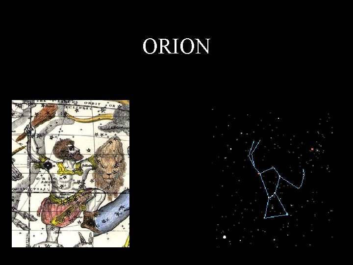 ORION 