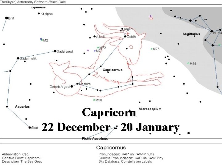 Capricorn 22 December - 20 January 