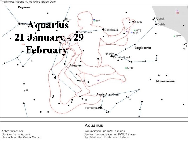 Aquarius 21 January - 29 February 