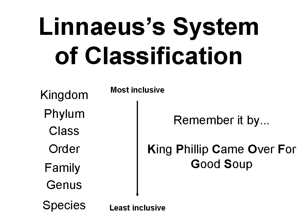Linnaeus’s System of Classification Kingdom Phylum Class Order Family Genus Species Most inclusive Remember