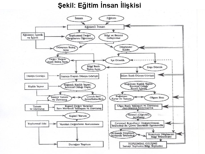 Şekil: Eğitim İnsan İlişkisi 